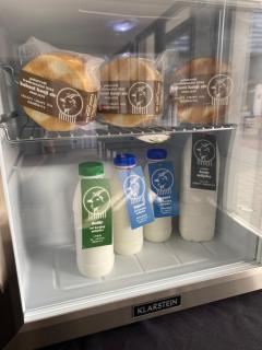 Pansion Danica - 2