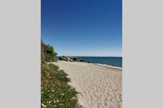 MARINE DE BRAVONE T2 Terrasse Front de mer - Plage pieds dans l'eau - Clim - Piscine - WIFI - Linguizzetta - 1