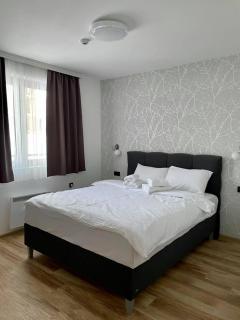 Zlatna Kruna - Lux Apartments Kopaonik - Kopaonik - 5