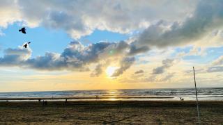 Mevira Appartement - Zandvoort - 8