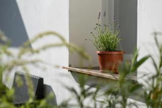 Királyleányka Apartman - Eger - 6