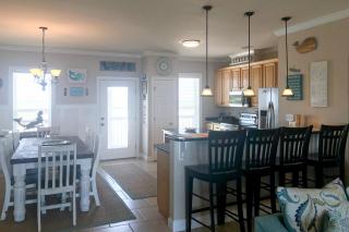 Nightingale - Dauphin Island - 7