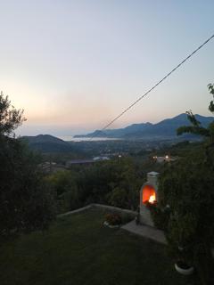 Zelena Maslina - Bar - 4