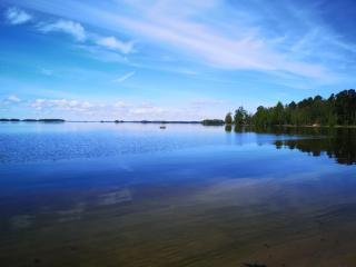 Koivuniemi Cottage - Säkylä - 8