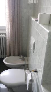 PET FRIENDLY HOTEL MIRABEAU - Bellagio - 8