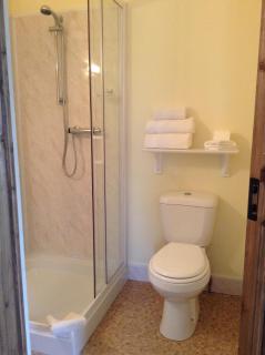 Deerpark Manor Bed and Breakfast - Swinford - 6