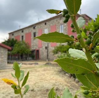 Tenuta TerraRossa - Rossano - 0
