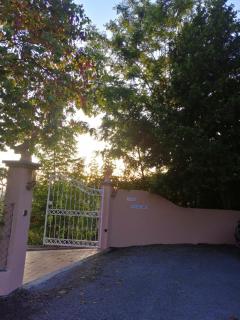Casa Loureiro - Vista Rio Douro - Resende - 7