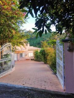 Casa Loureiro - Vista Rio Douro - Resende - 9