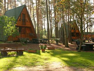 Chalet Nepumuk-3 by Interhome - Arendsee - 0
