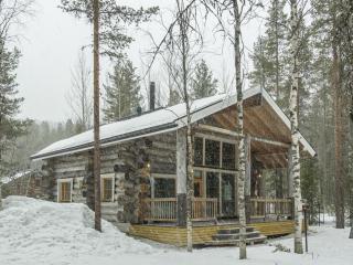 Holiday Home Kotkanpesä by Interhome - Levi - 9