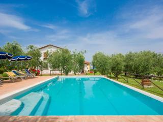 Apartment Oliveto by Interhome - Toiano - 5