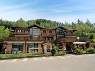 Apartment Superior-1 by Interhome - Mezzolago - 0