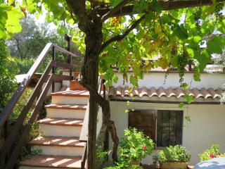 Holiday Home Ulivo by Interhome - Montescudaio - 5