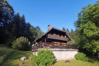 Cottage in the woods - Lake Bohinj - 0