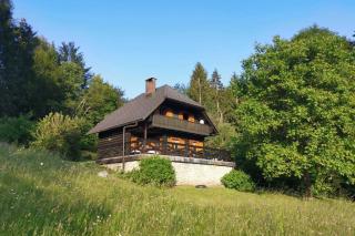 Cottage in the woods - Lake Bohinj - 2