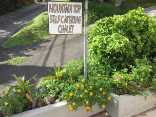 Mountain Top Chalet - 8