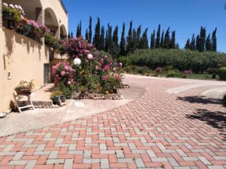 Il Giardino delle Rose A - Olmedo - 7