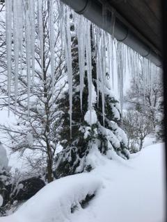 Ferienhaus Sauerlandtraum - Winterberg - 5