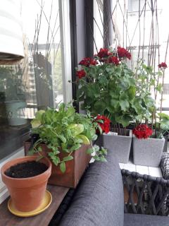 Garden Street Family - Turku - 0