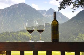Am Sonnleiten Ferienwohnungen - Bad Hindelang - 1