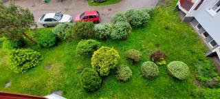 Apartament ALMI - 2