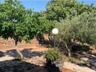Villa Osala - Orosei - 2
