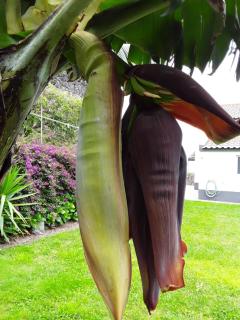 Maria's Haven - 6