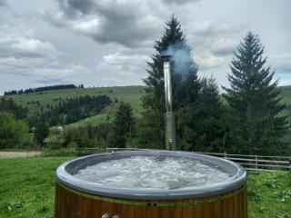 Camping Nad Karpatamy SPA - Hrobyshche - 6