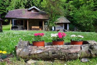 Kuca za odmor Todorovica mlin - Gornji Milanovac - 9