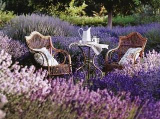 Maison Tara verte au Mas Montredon - 3