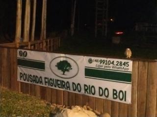 Pousada Figueira do Rio do Boi - Praia Grande - 9