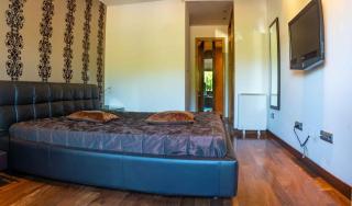Charming Apartment - 3