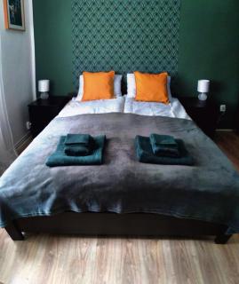 Apartament w Centrum Cichy Zakątek - Gliwice - 9