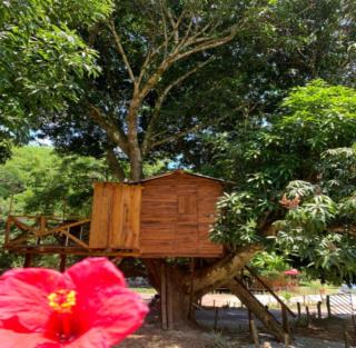 Eco-Glamping Shalom - Mariquita - 5