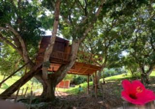 Eco-Glamping Shalom - Mariquita - 4