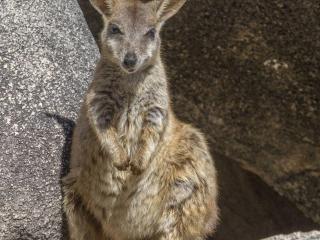 Alma Bay Holiday Unit 3 - 2