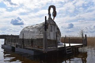 Gulbju māja - Swan house - 8