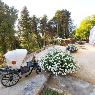 Chiosi Country Club - 2