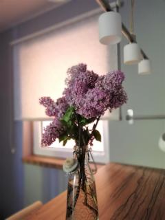 Nest - Belgrado - 5