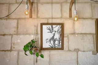 Mas des Prépresses - la Maison des vendangeurs - Beaucaire - 8