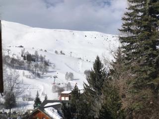 Chalet le Hibou - 2Alpes - Jacuzzi - 14 couchages - 4
