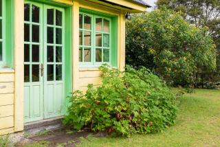 OLATIKA - Le Retour aux sources - 4