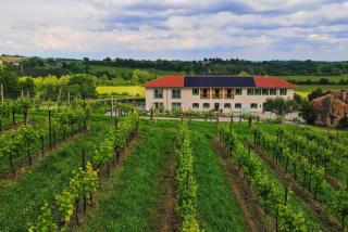 Tenuta Mani Sagge - San Pietro di Feletto - 0