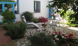 B&b-Le Rondini - 9
