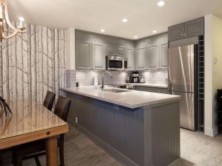 Mountain Modern Ski-in Walkout Condo with Private Hot Tub - 7