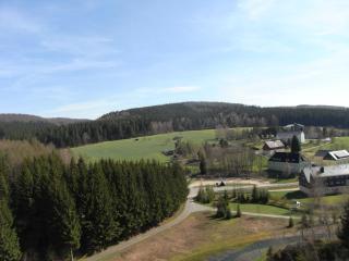 Hotel Seiffener Hof*** - 3