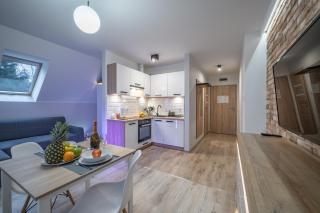 Apartamenty Bunny Aparts - Świeradów-Zdrój - 5