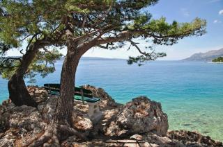 Studio Apartment in Brela with Sea View, Terrace, Air Conditioning, Wi-Fi (3524-3) - 5