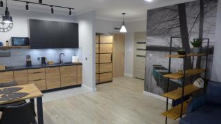 APARTAMENT PIOTR - Iława - 0